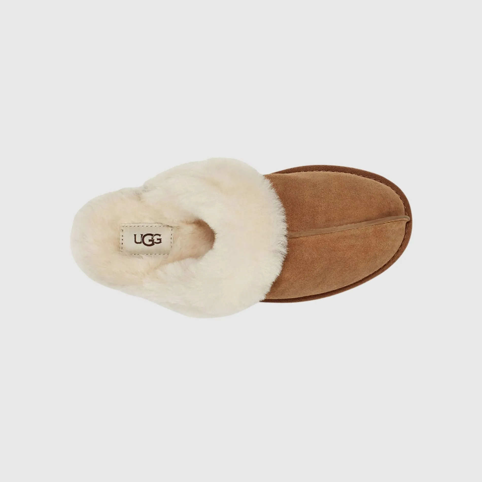 UGG /scuffette ii h23 camel Shop